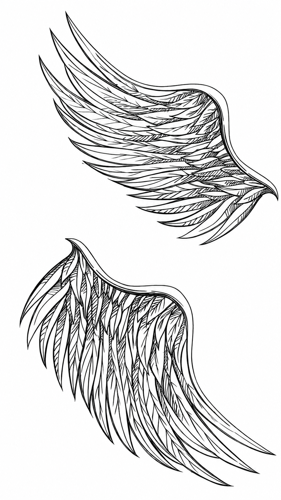 Angel Wings (X-428)