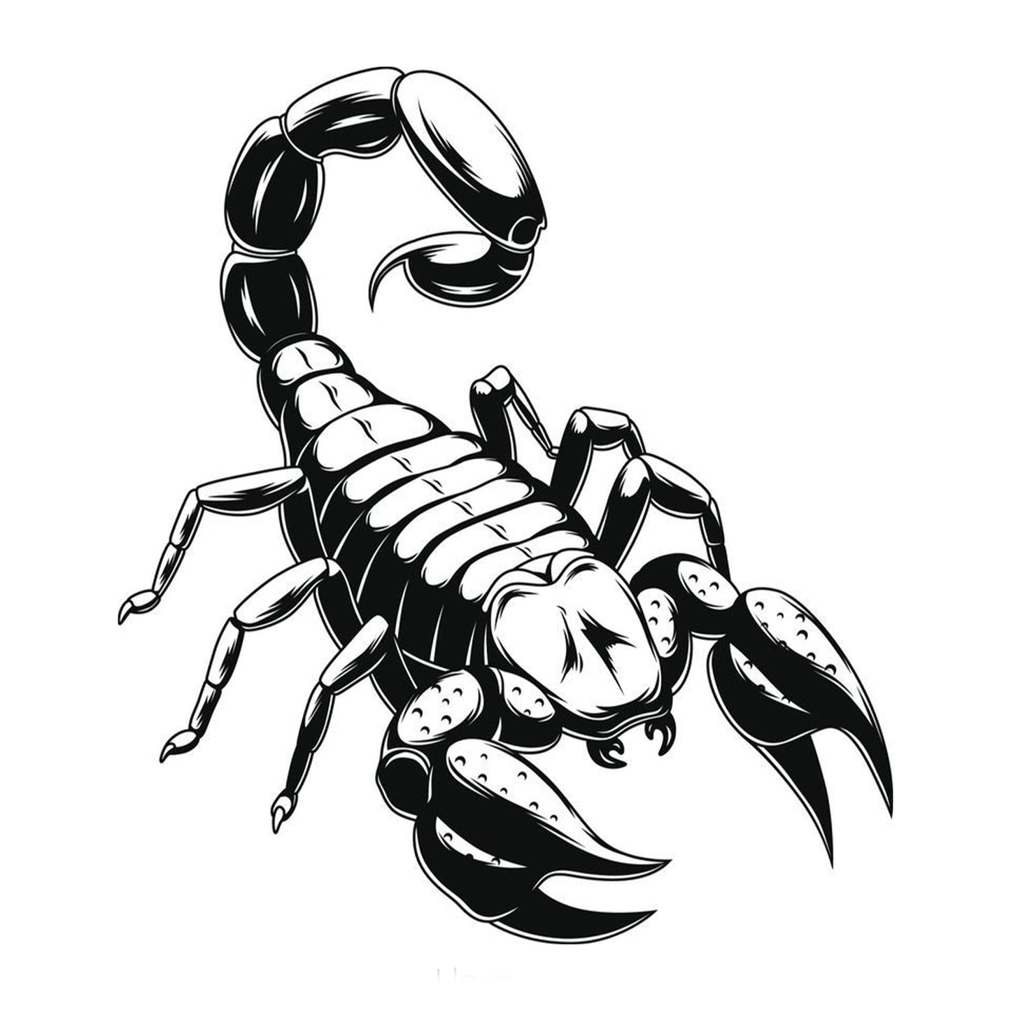 The Sting | Scorpio (Q-667)