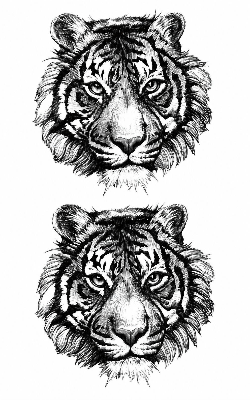 Alpha Tiger (Q-050)