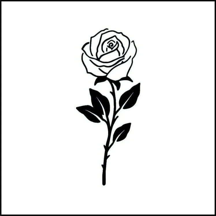 Romantic Rose