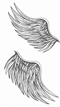 Angel Wings (X-428)