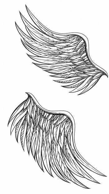 Angel Wings (X-428)