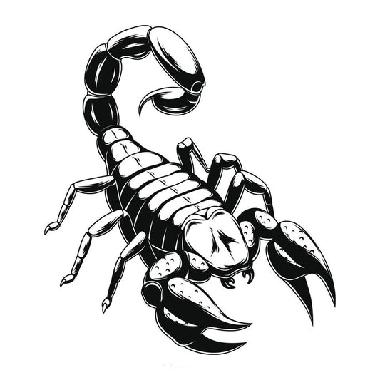 The Sting | Scorpio (Q-667)