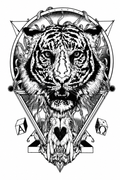 Royal Tiger (Q-095)