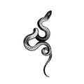 Viper Snake (Q-258)