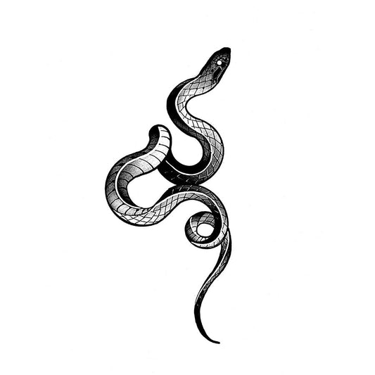 Viper Snake (Q-258)