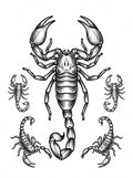 Scorpion