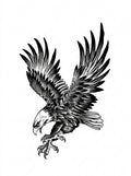 Soaring Eagle