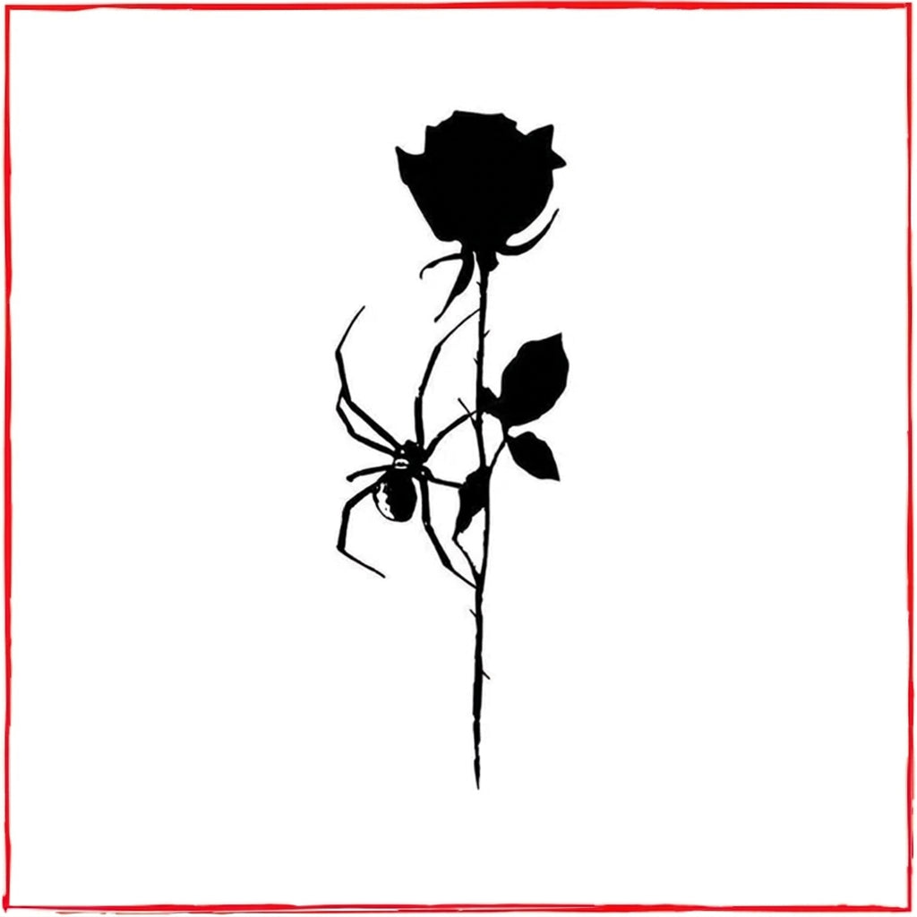 Black Rose & Spider