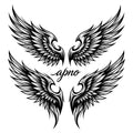 Circle of Flight (X 352)
