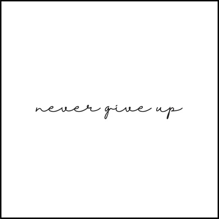 Never Give Up