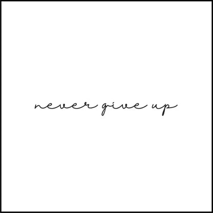 Never Give Up